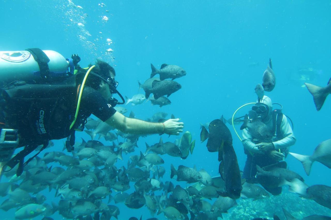 Tabari Dive Lodge Pulau Mansuar Exterior foto